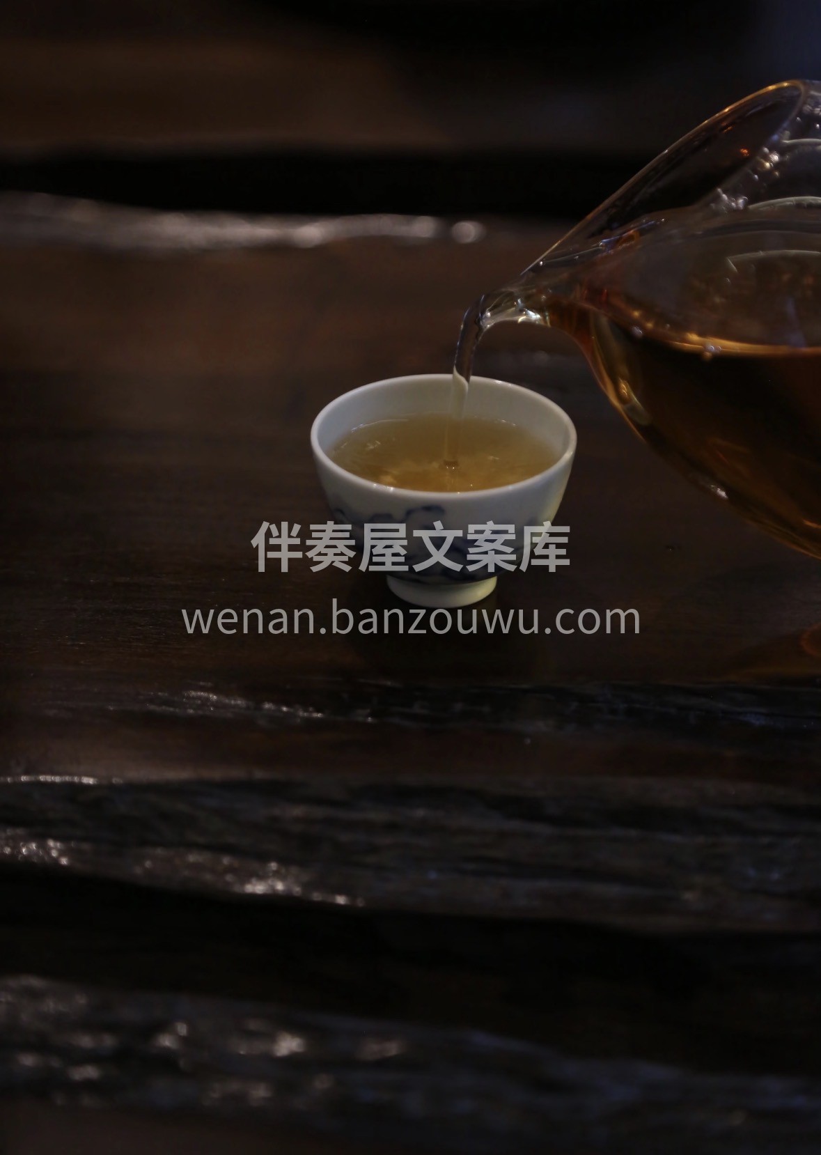 福鼎核心产区白茶🎁 🍵寒冬备年货首选，老 配图3