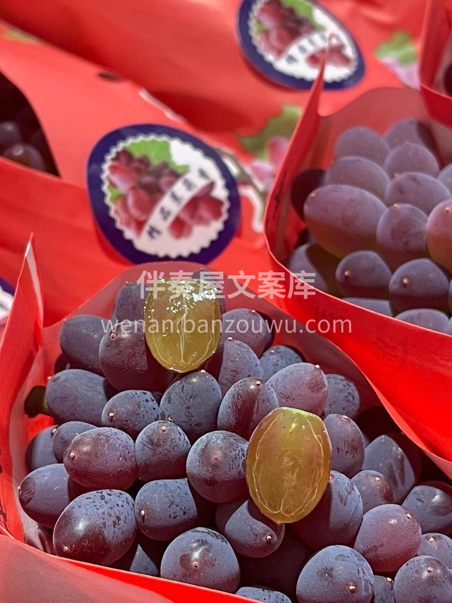 新品🌈 【茉莉香葡萄🍇】 👉郁金香葡萄又 配图1