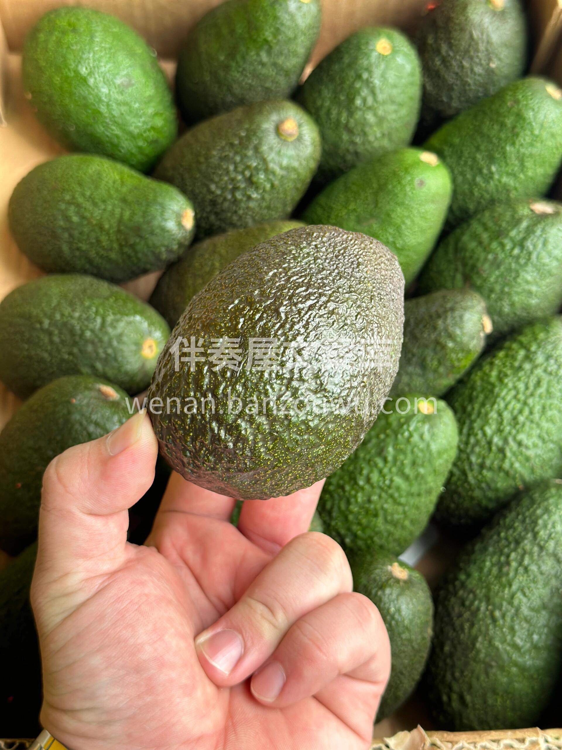 🥑牛油果入口绵密柔软 伴有淡淡清香☘️一 配图3