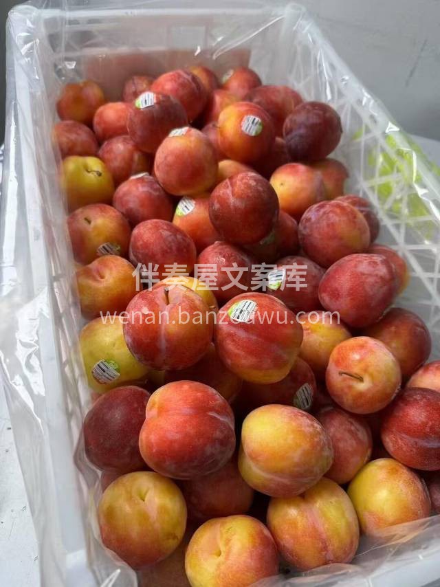 一吃就让人爱上的珠宝李😍 糖度要比一般的 配图2