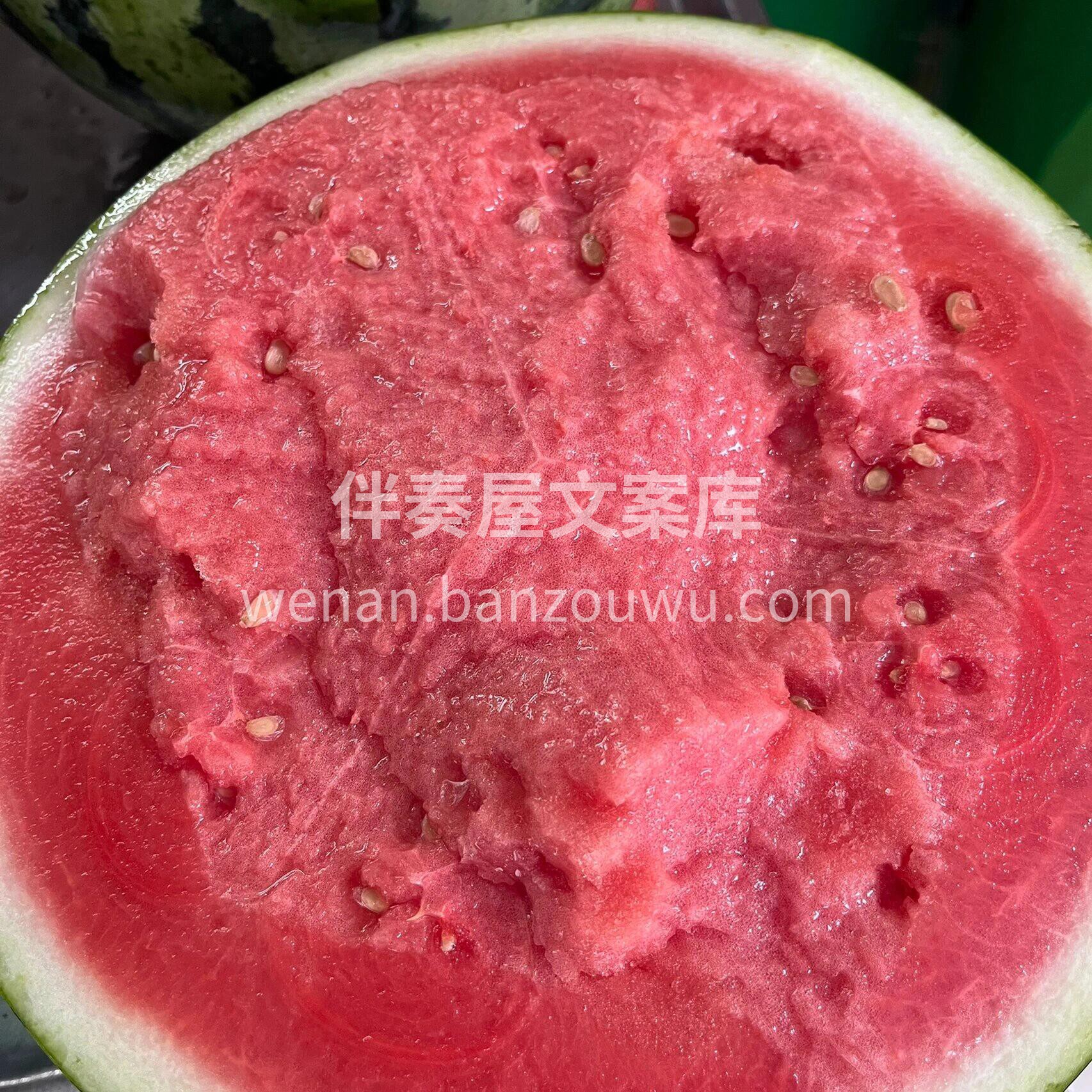 想要春天过得好👍👍，西瓜一定不能少👉 没 配图1