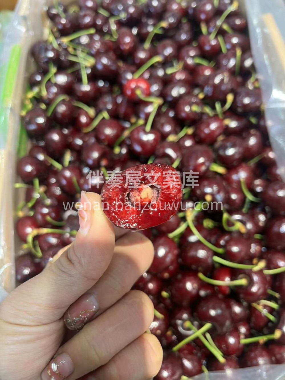 🍃 车厘子桑缇娜🍒一款全家人都喜爱的水果 配图2