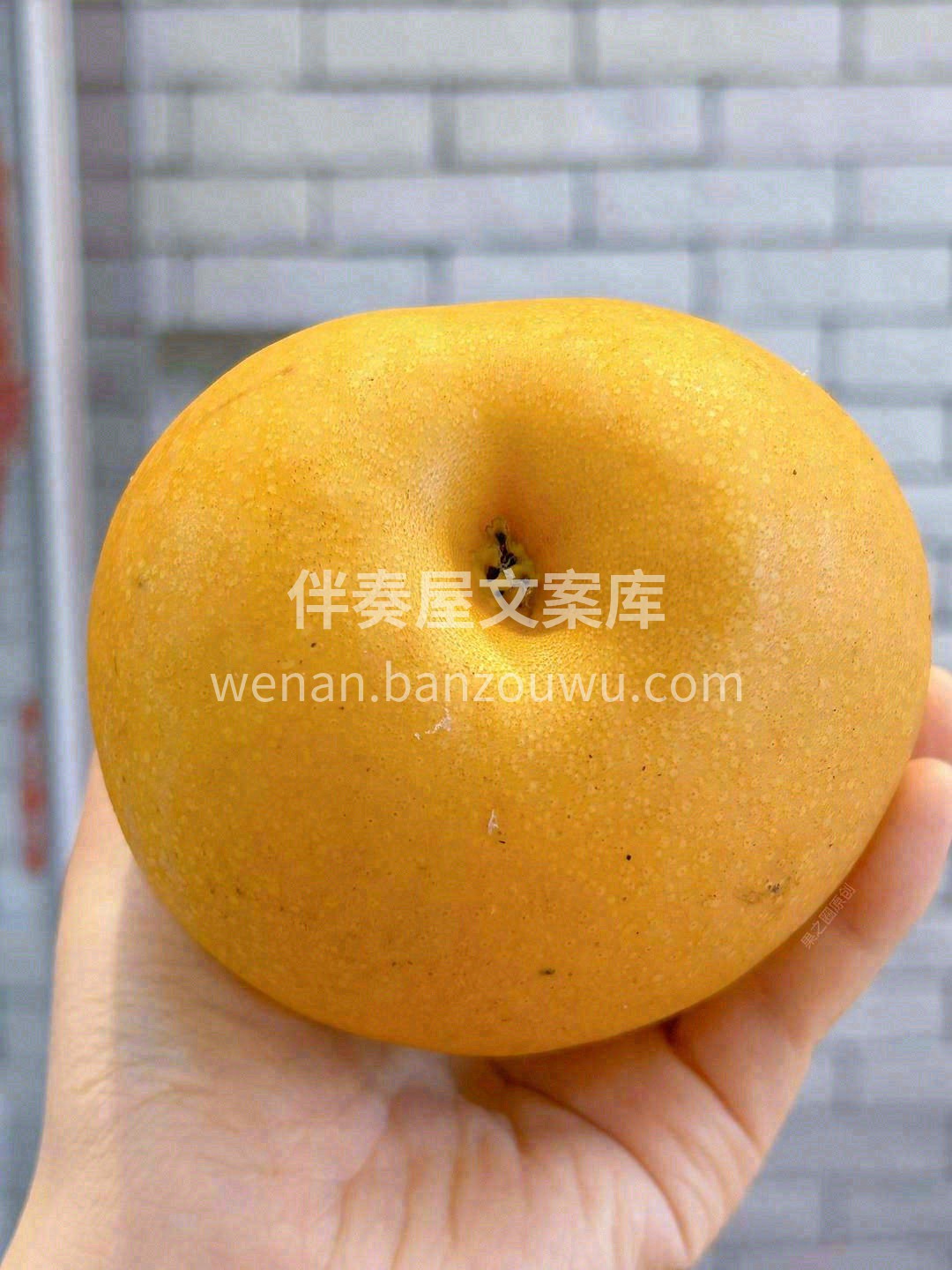 不到长城非好汉，不吃秋月梨人生有遗憾💌！ 配图1