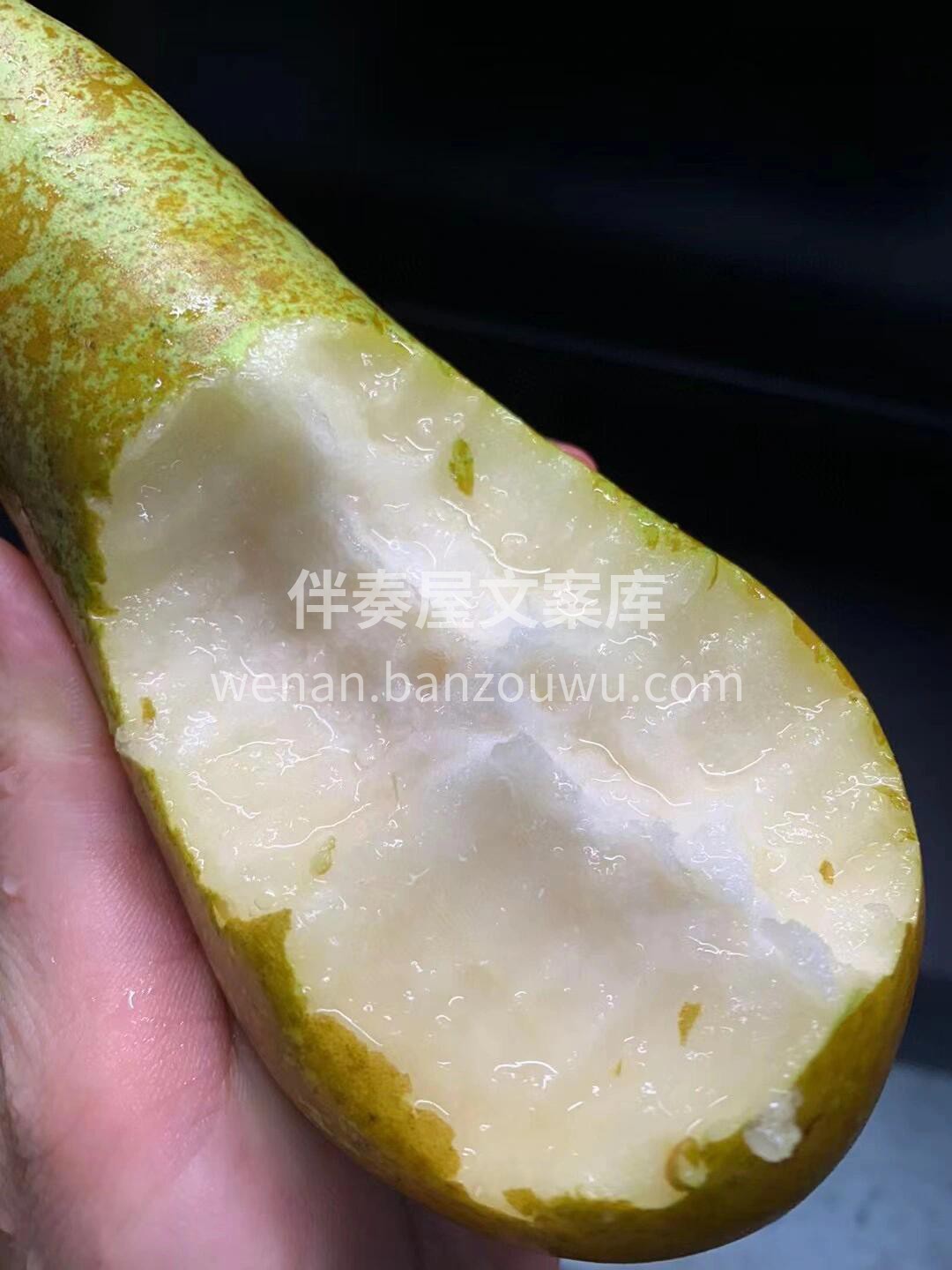 颜值、口感、营养三为一体的彩啤梨🤜 放软 配图2