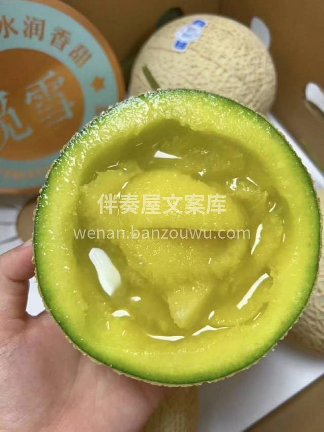 觅雪网纹瓜🍈 国产的静冈网纹瓜，超粗网纹 配图3