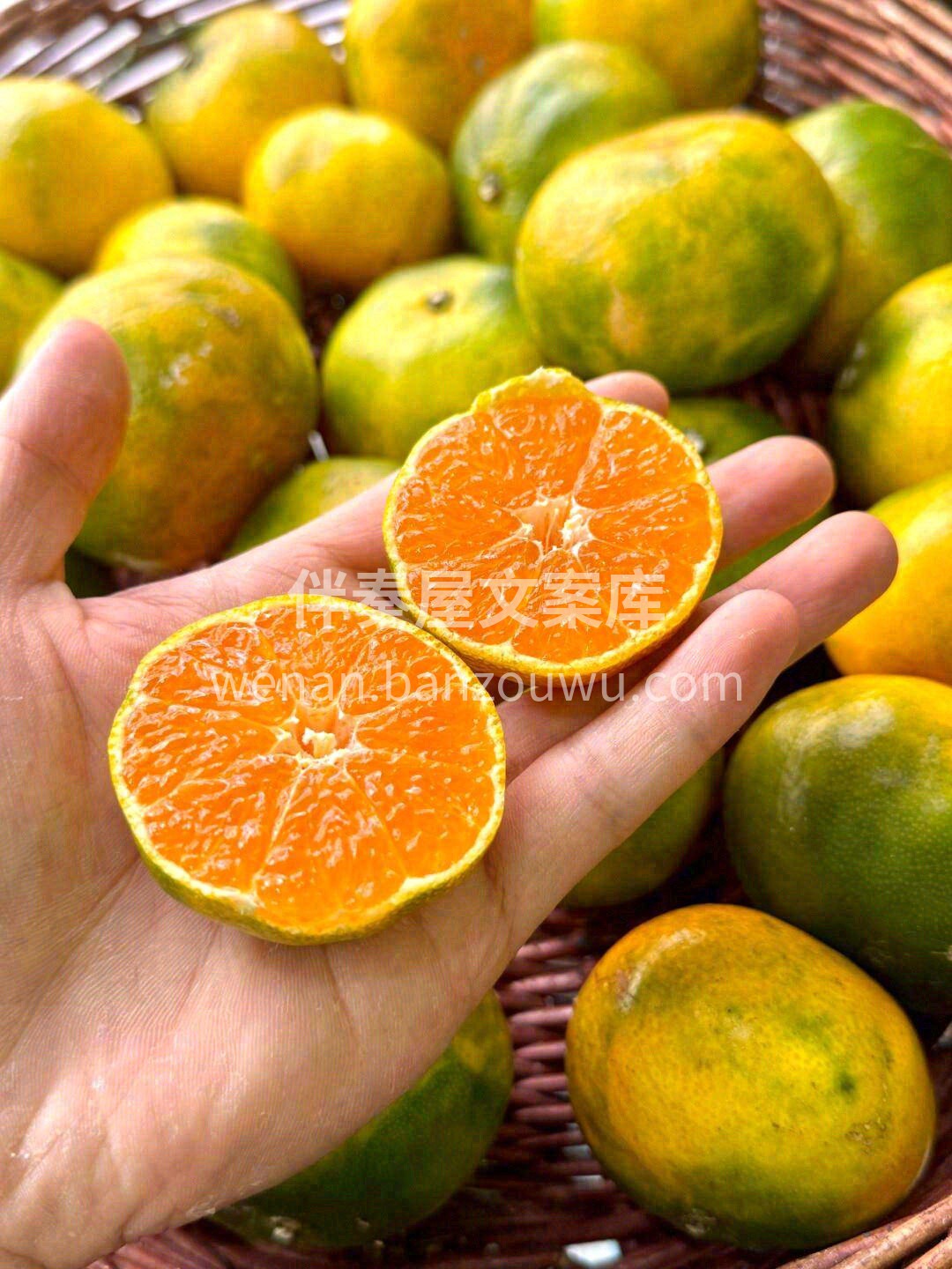 🍊每一个细小的橘子颗粒里，都包裹着满满的 配图1