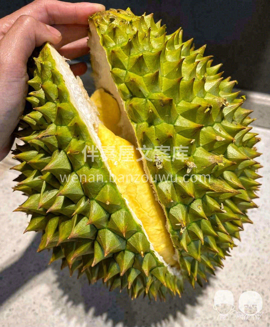干尧榴莲闻香时垂涎欲滴🥳，入口时滑似奶脂 配图3