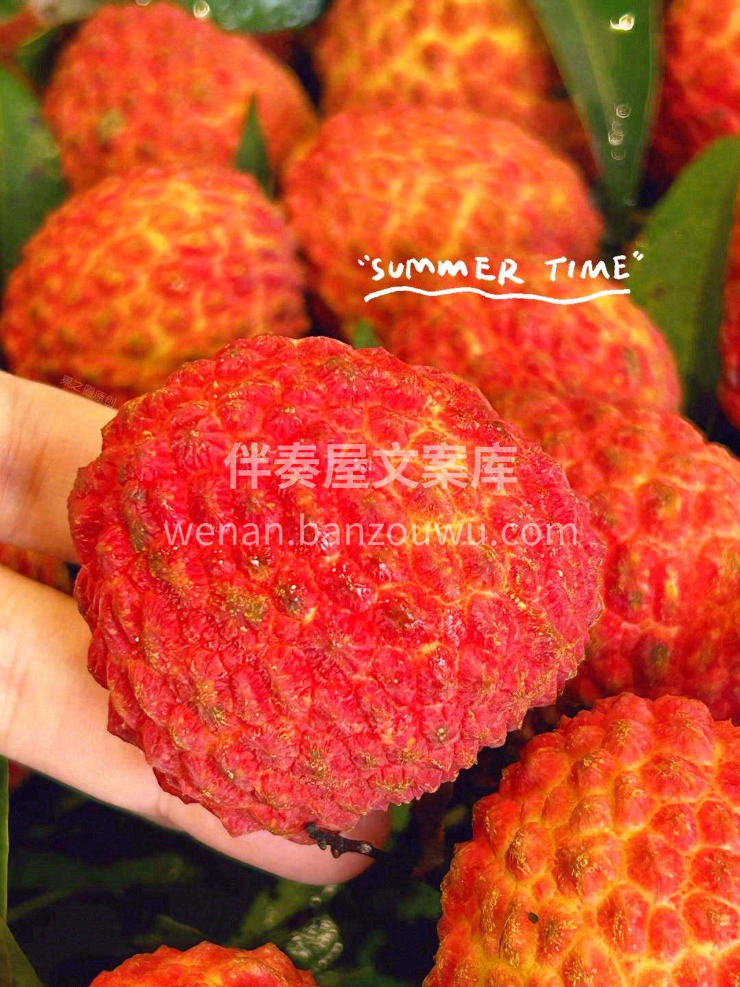 每颗宛若红心💓，饱满鲜红 别说吃了，拿在 配图1