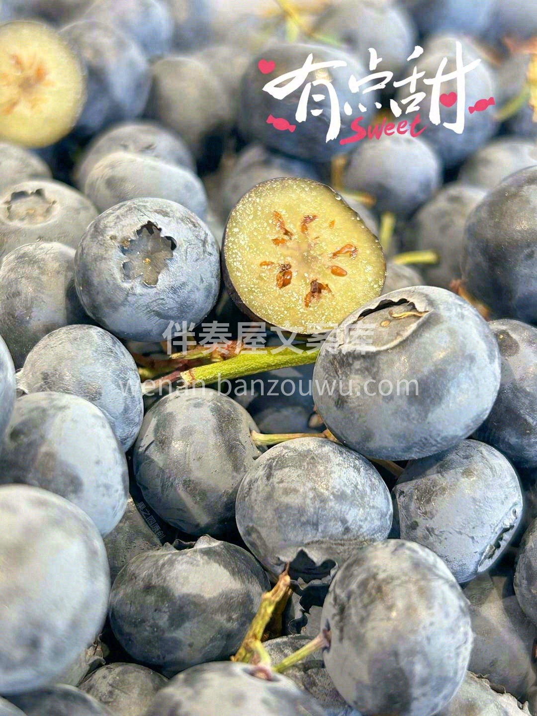 蓝紫色蓝莓“精灵”🧚带着翠绿的嫩枝儿🌱  配图1
