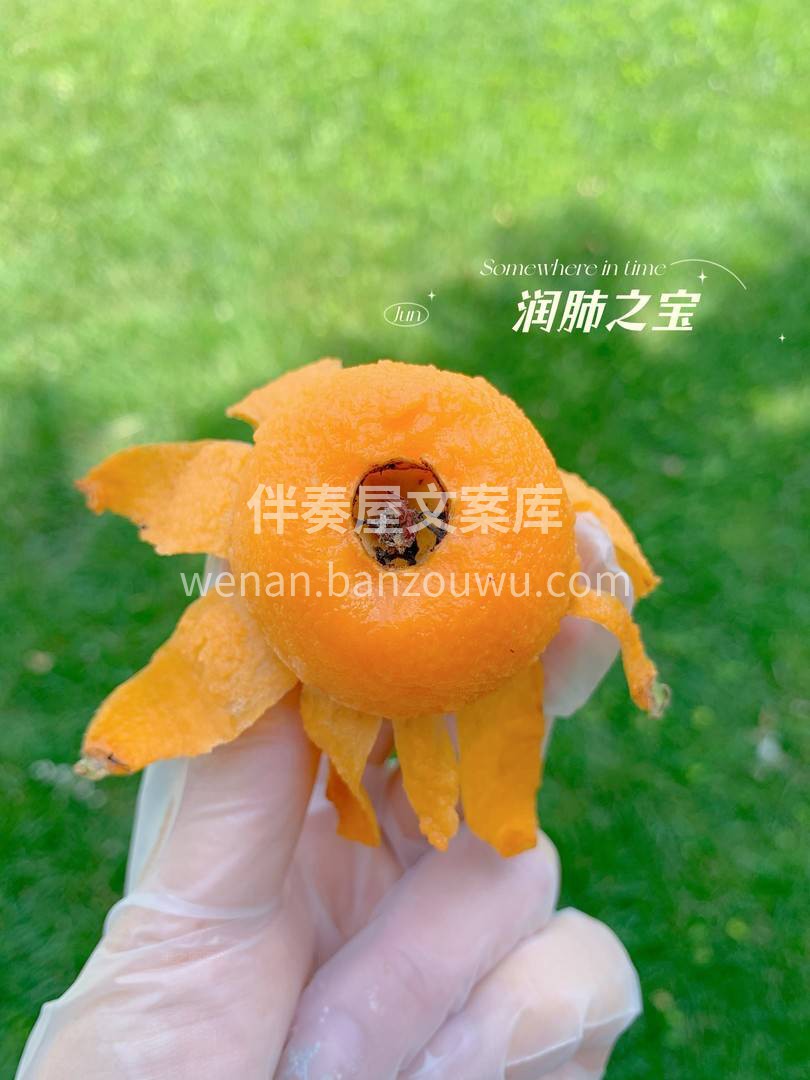 天然护嗓润肺之宝🔱 蒙自五星枇杷果柔软多 配图1