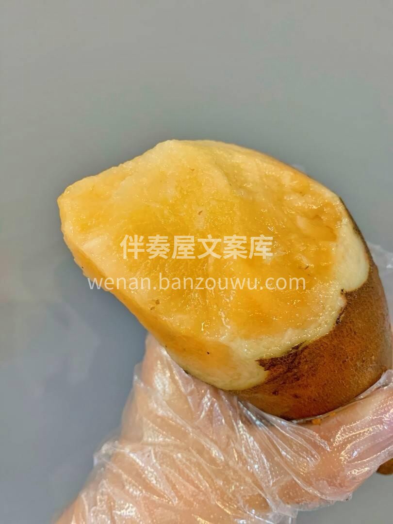 🍠雪莲果--唯一的地下水果‼️ 💥嘎嘣脆 配图2