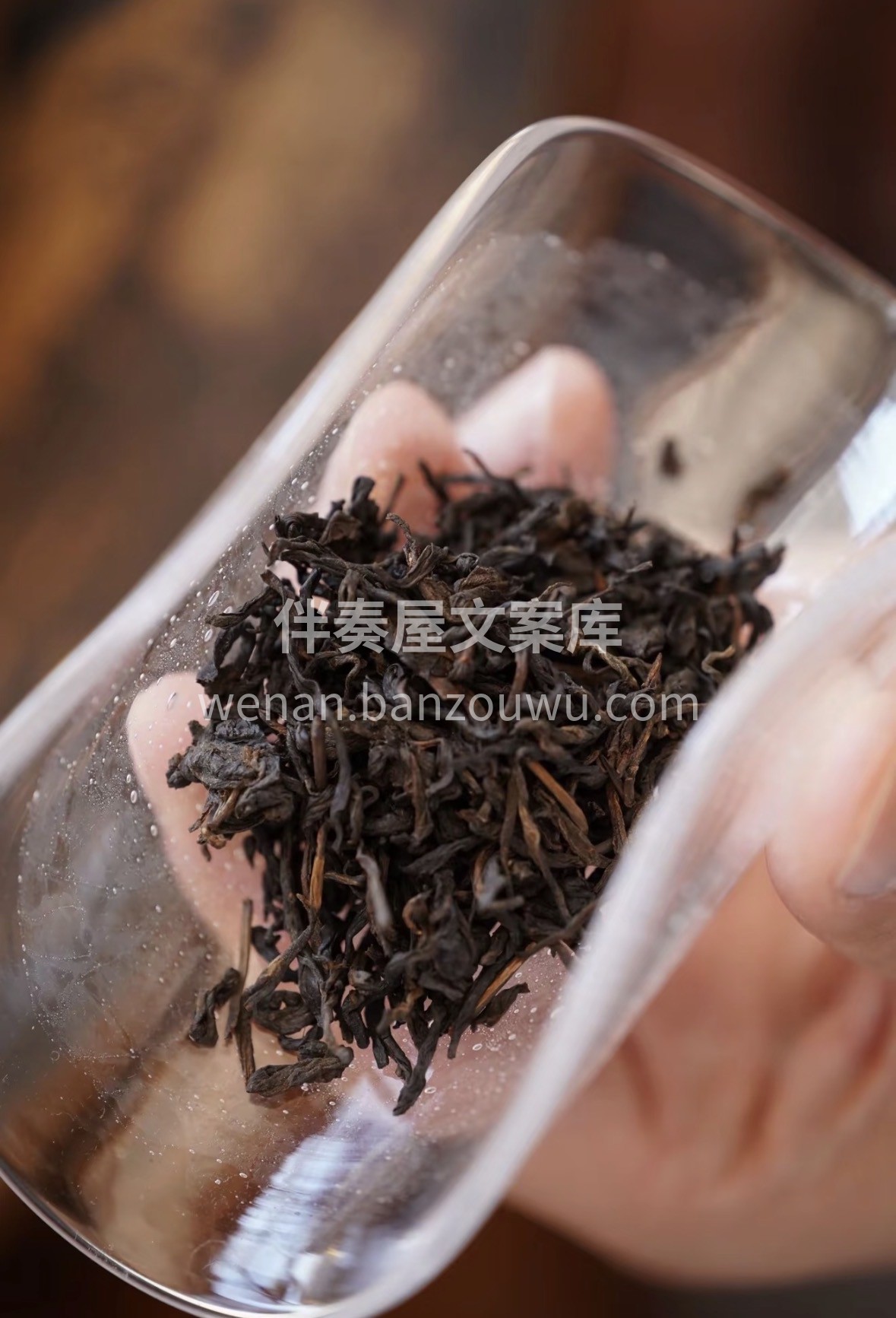 春日好茶｜安化天尖，贡茶品级，温醇解腻， 配图1