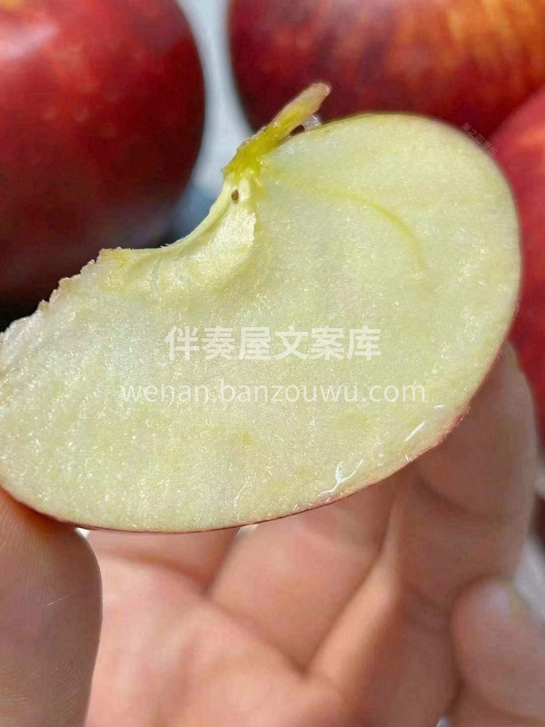 🔆🔆热辣辣的夏天，来一口嘎嘣💥爽脆的加力 配图2