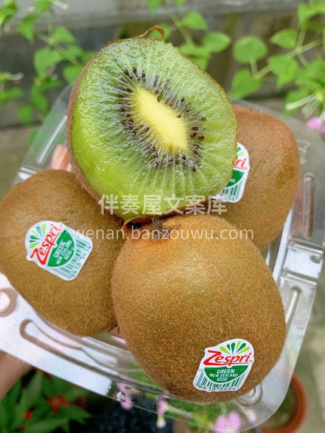🥝9分甜，1分酸的佳沛奇异果 是被太阳亲 配图1