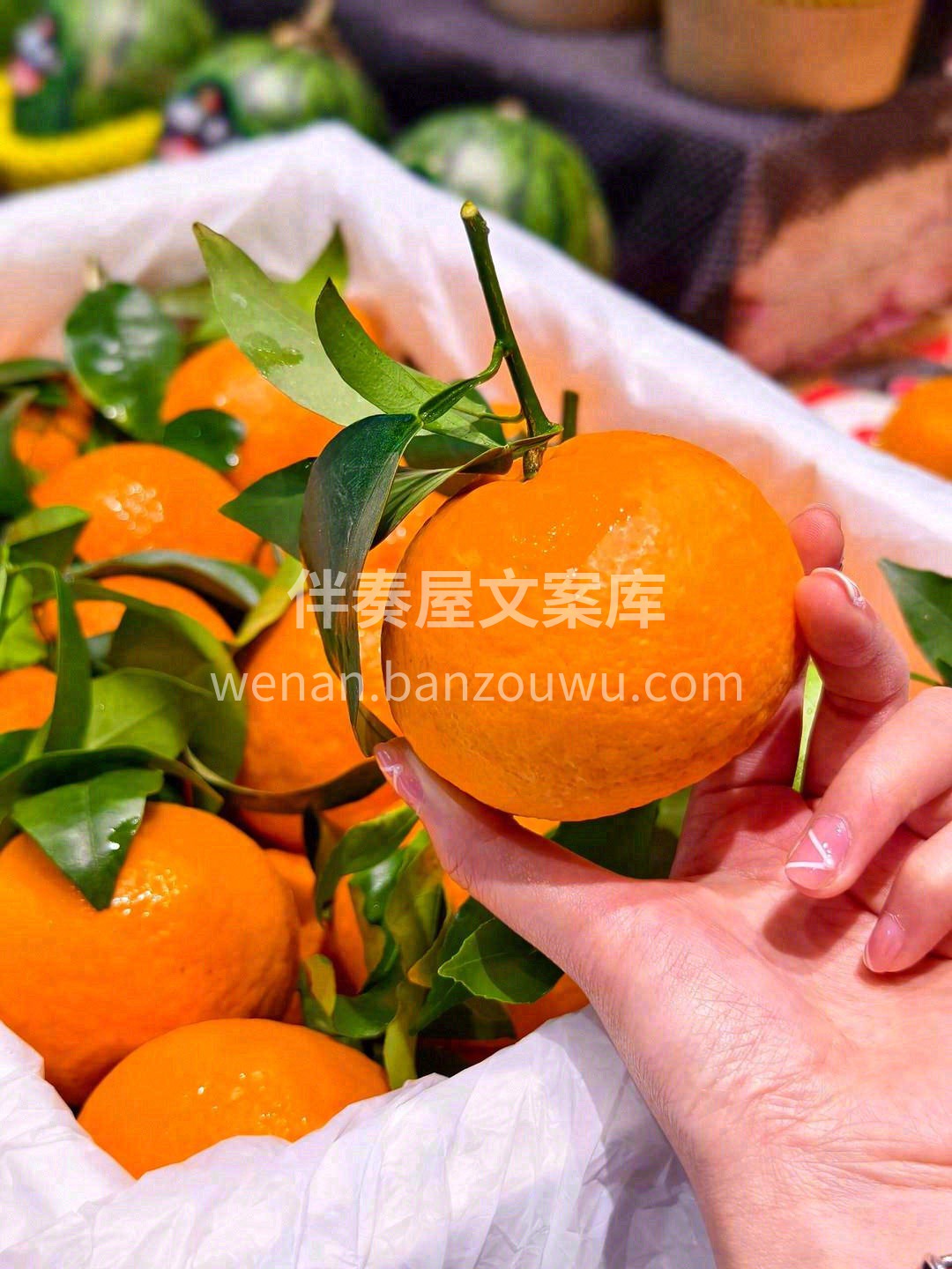 比橙子香浓🍊 比桔肉细嫩🍹 每一口都爽甜