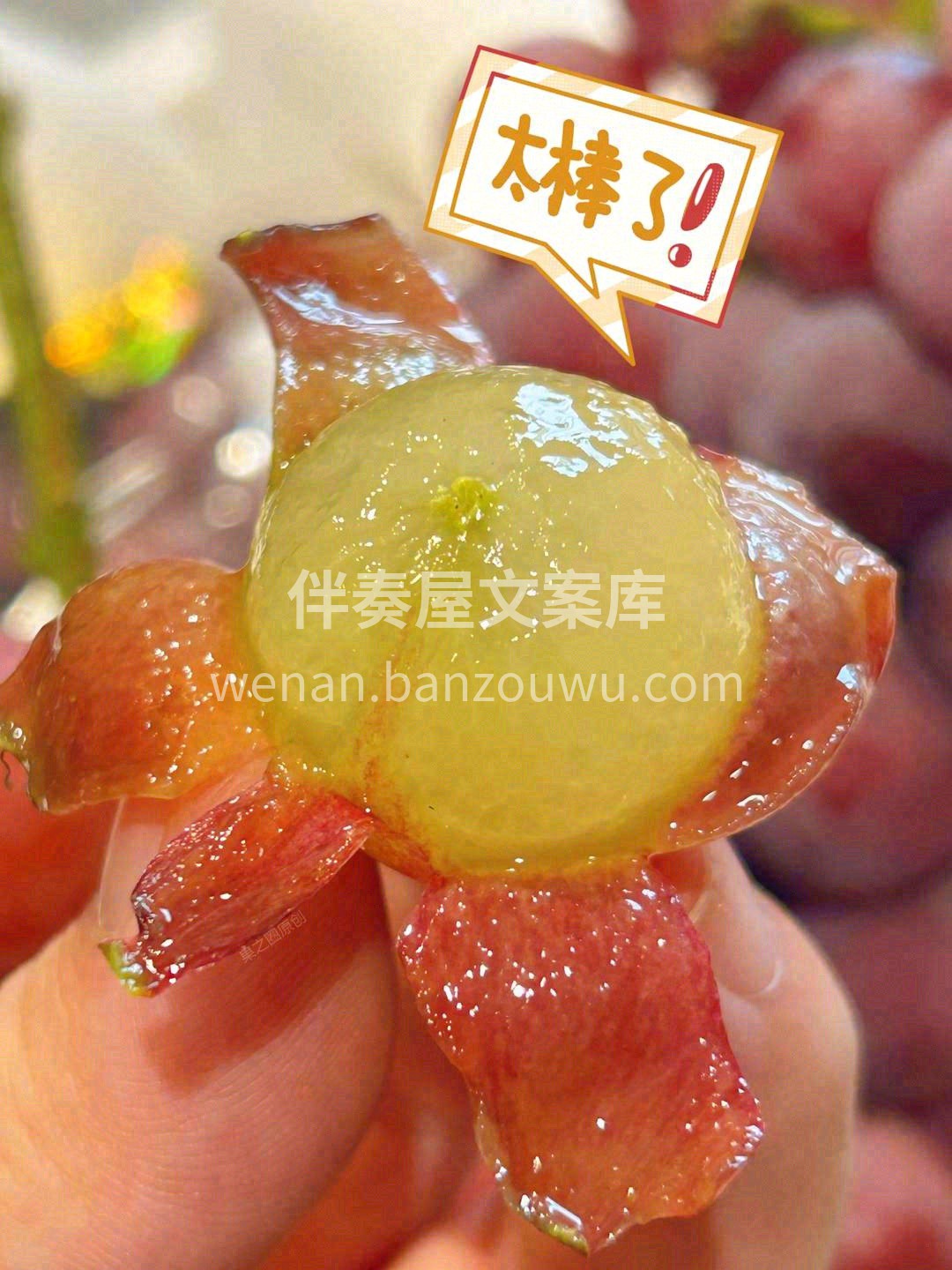 美丽与味道的化身💃💃 纯洁与高贵的象征👒 配图2