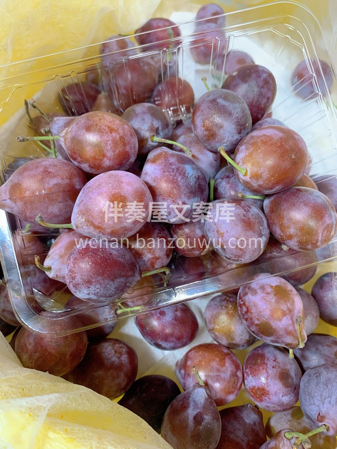 如果只是甜蜜，还不足以让你爱上西梅🔮。  配图3