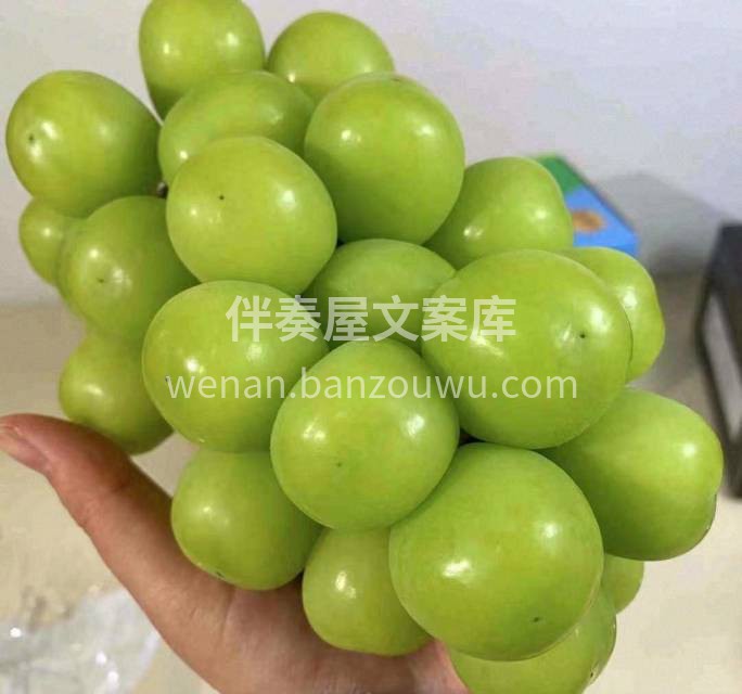 🎊追求大颗和整串甜度的宝子，推荐这款晴王 配图1