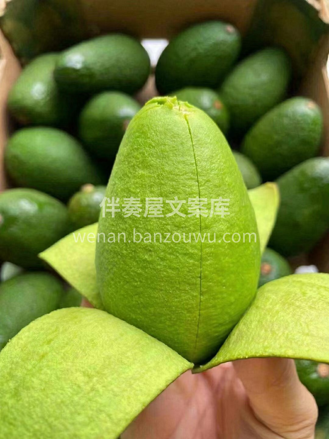 好吃的【牛油果🥑】来咯😍 爱吃牛油果🥑的 配图2