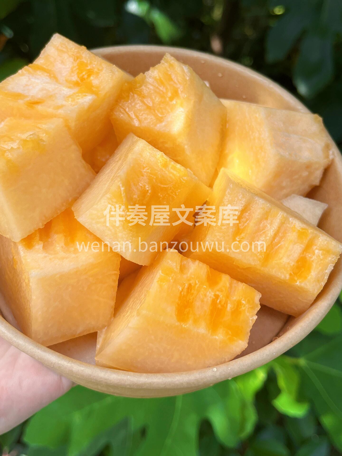 不负期待的哈密瓜🍈🍈 我说它千般好👍，万 配图3