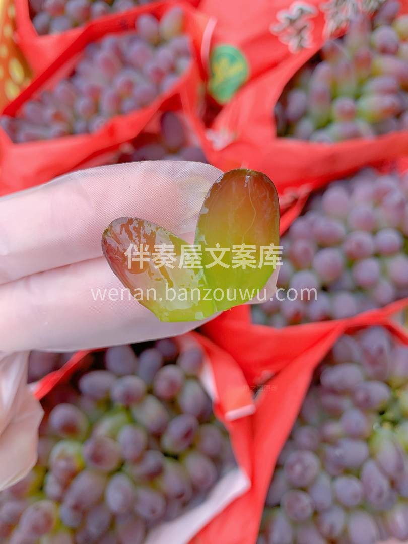 🍇浓浓的茉莉花香🌼 成熟期几乎是纯甜🍭的 配图2