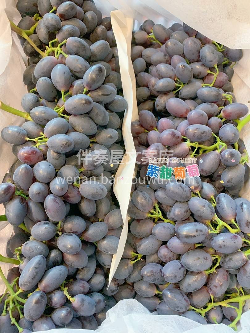 🍇紫甜葡萄很美的名字 跟它的外表也是极为 配图2