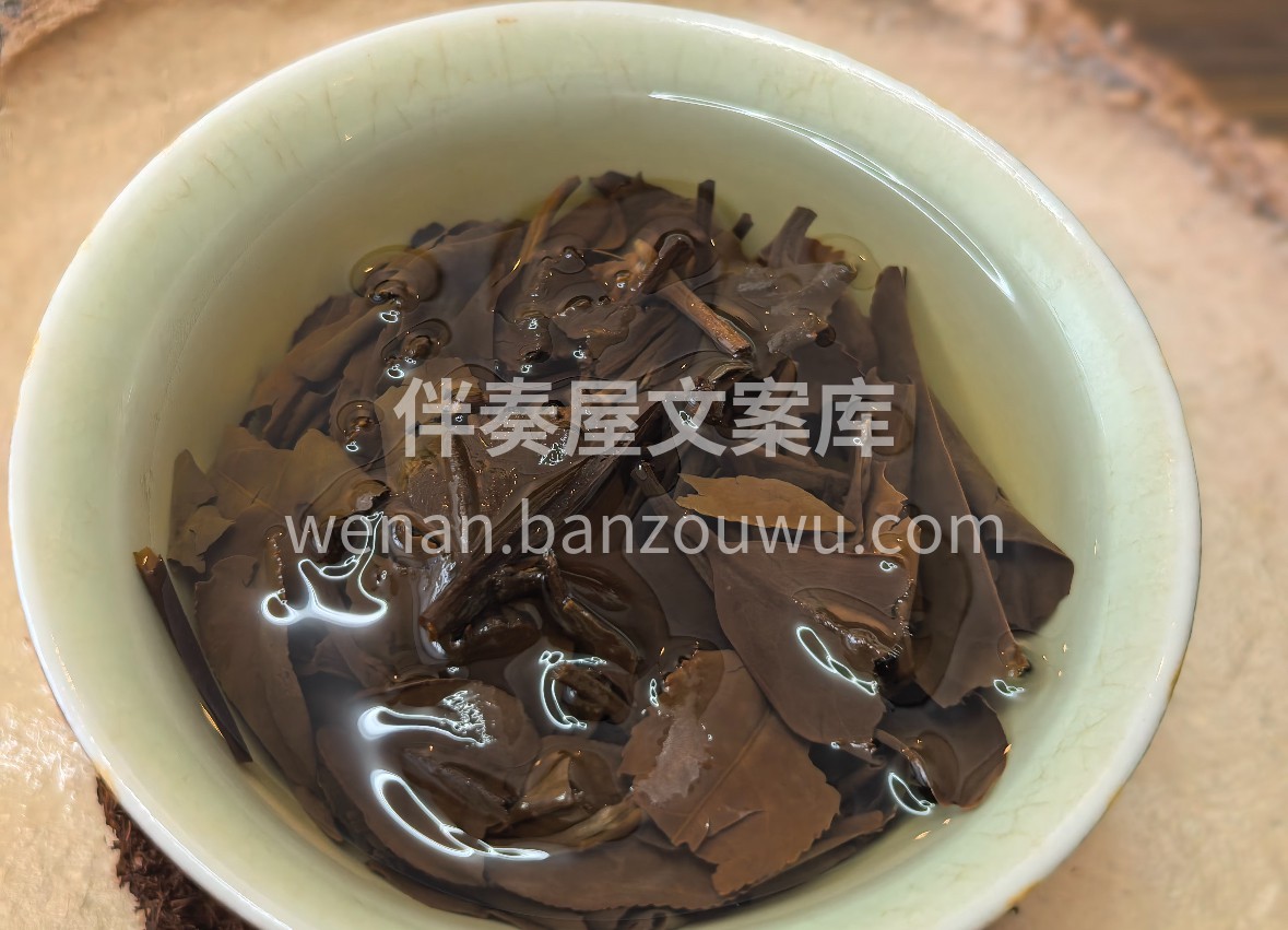 暮春采撷贡眉，白毫裹翠叶。经时光陈化，茶 配图2