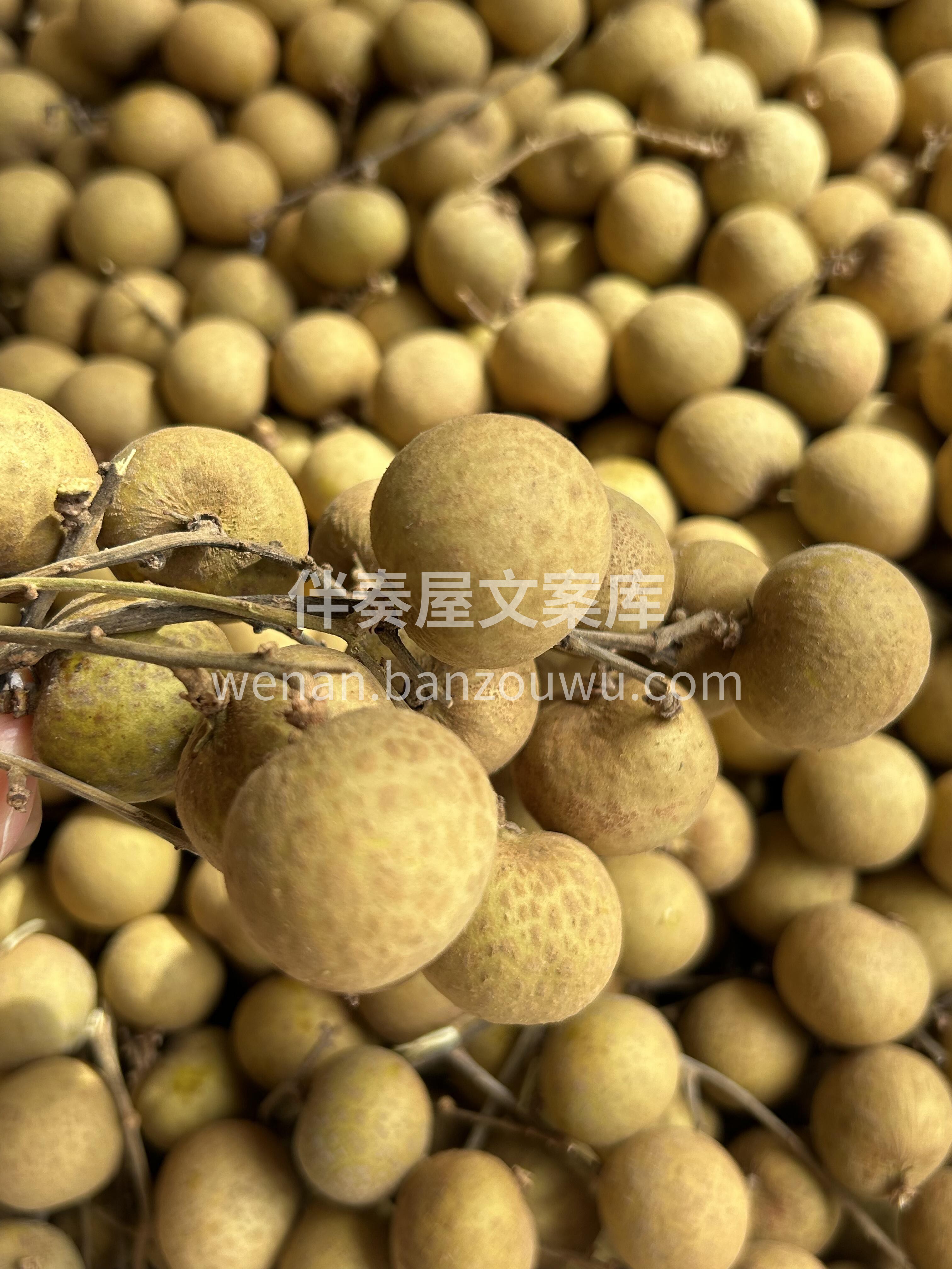 泰国龙眼到货💛 食在当季，食在新鲜！颗颗 配图1