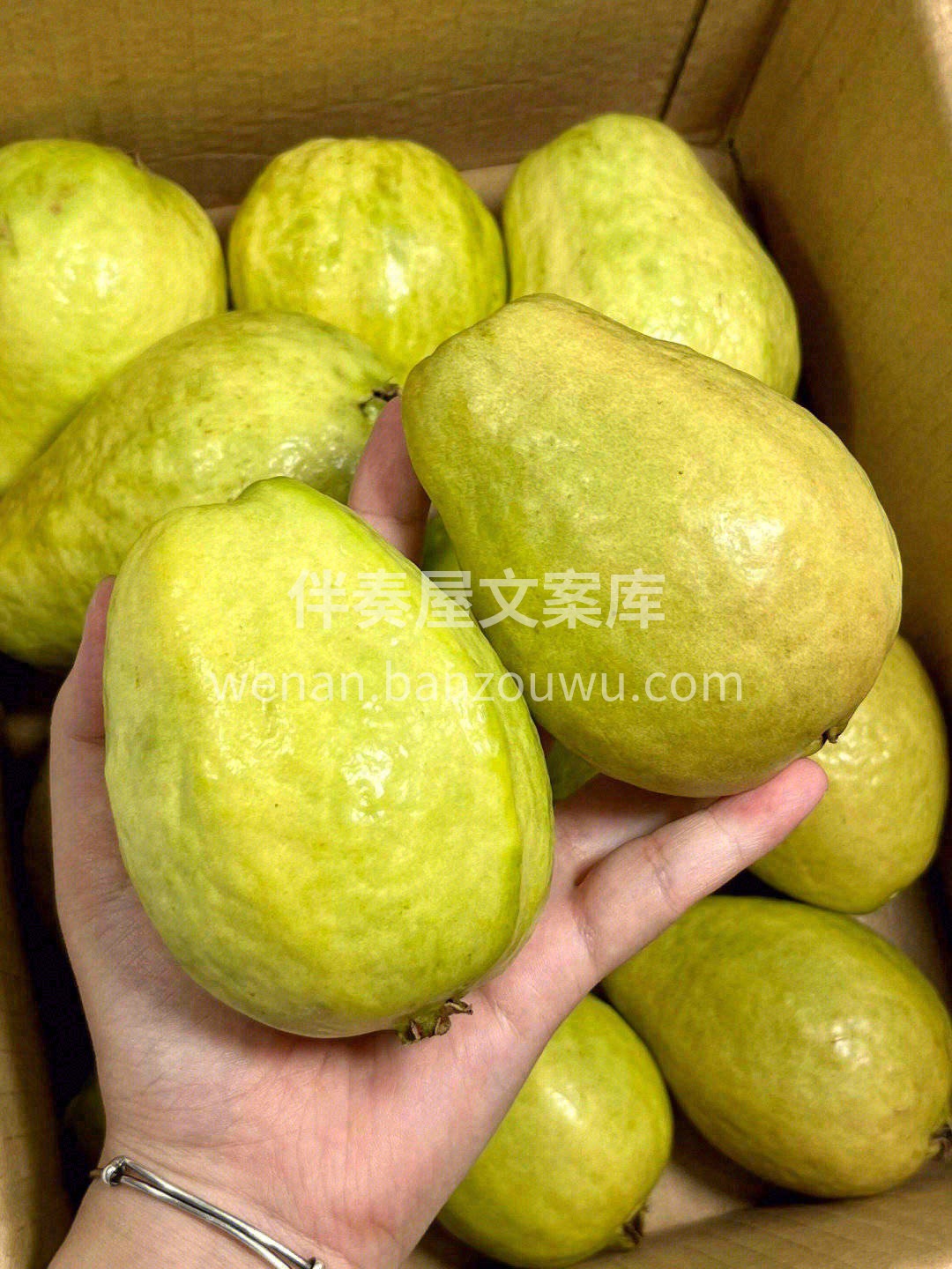 💙很爱它的香气馥郁，细品犹如雨后那兰花香 配图2