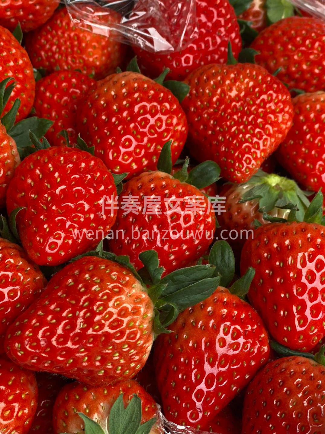 🍓草莓季节到啦～ 粉嫩果肉Q弹爆汁，香甜 配图2