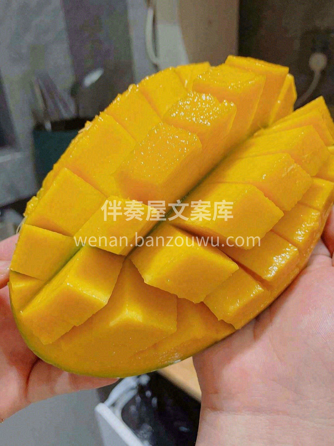 🍃那么绿的外表下内心这么黄💛 🧚‍♀️它 配图1