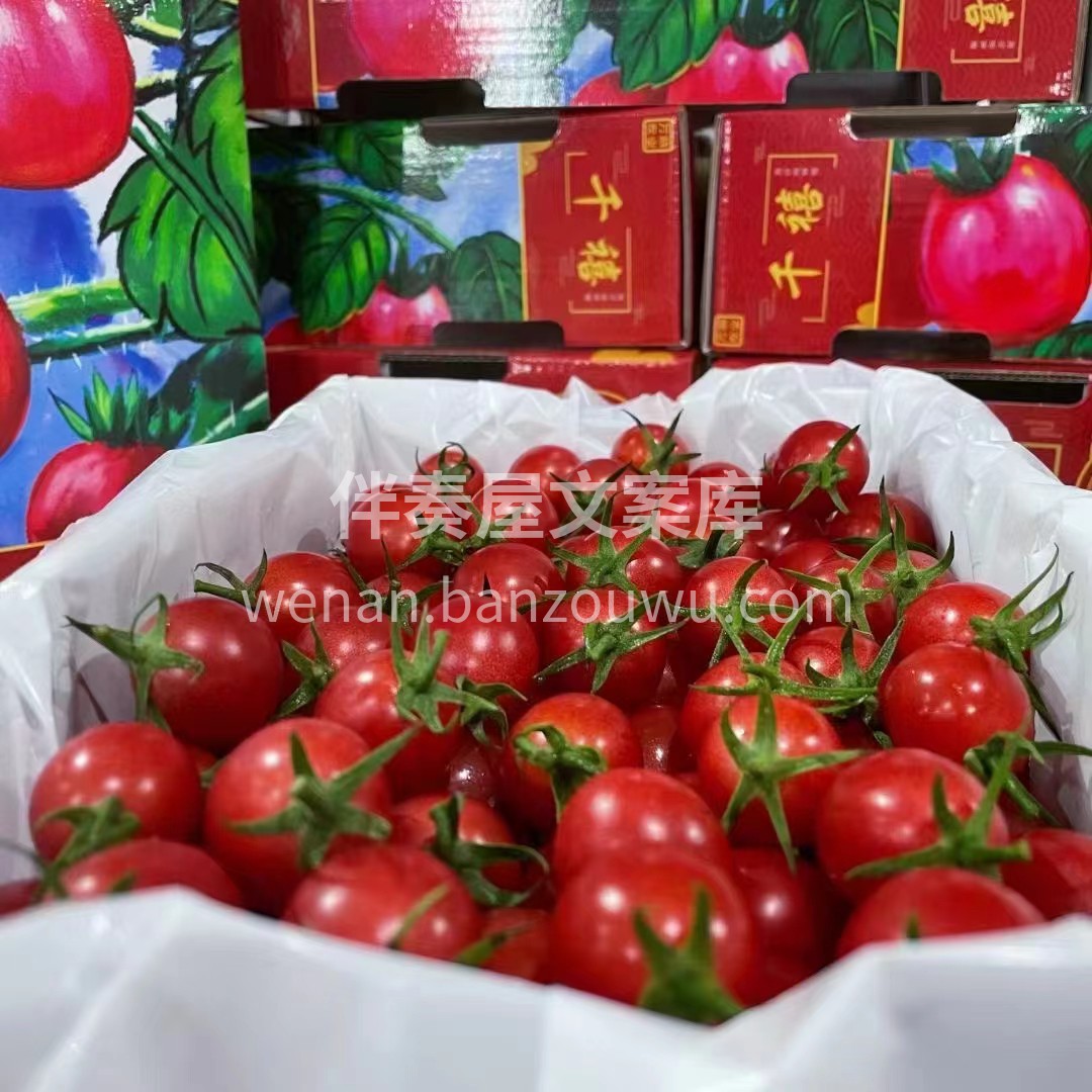 万鼎-红千禧🍅🍅 茂名电白千禧果，是不是 配图1