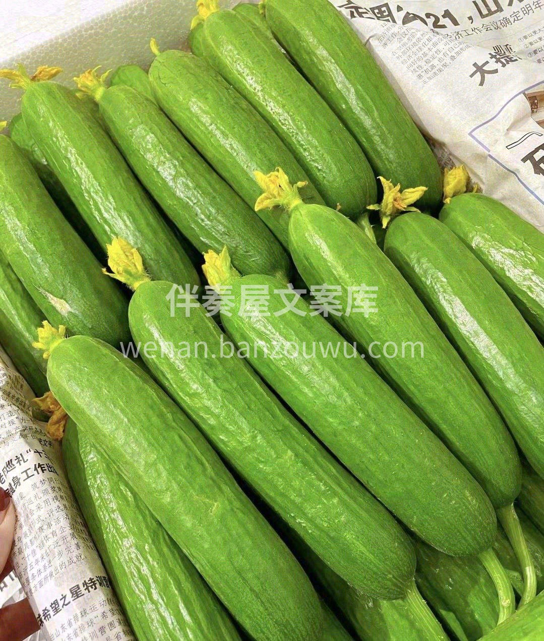 🥒水果黄瓜个头比较Q萌小巧，通身可以吃， 配图3