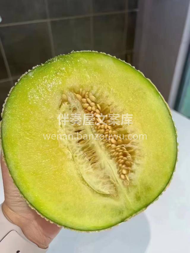 觅雪网纹瓜🍈 国产的静冈网纹瓜，超粗网纹 配图2