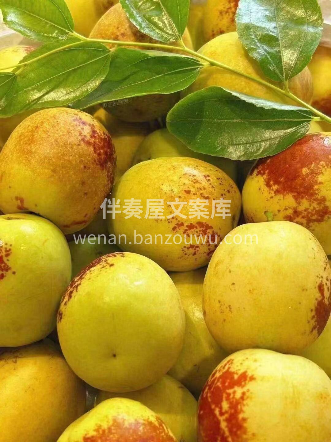 一日三枣青春不老 酥脆可口💥的大荔冬枣  配图1