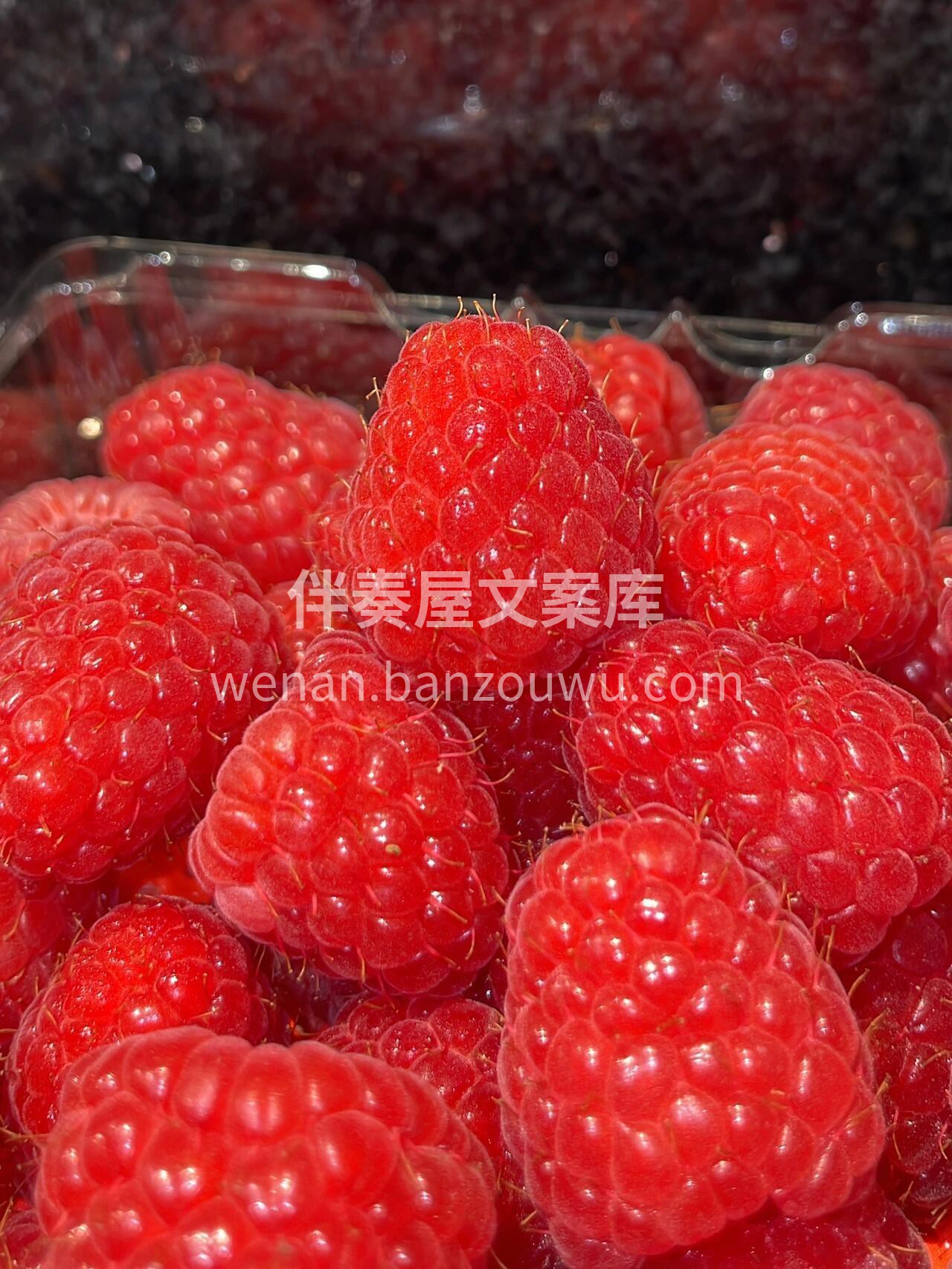 红树莓||颗颗晶莹剔透💓 特别新鲜，满满 配图3