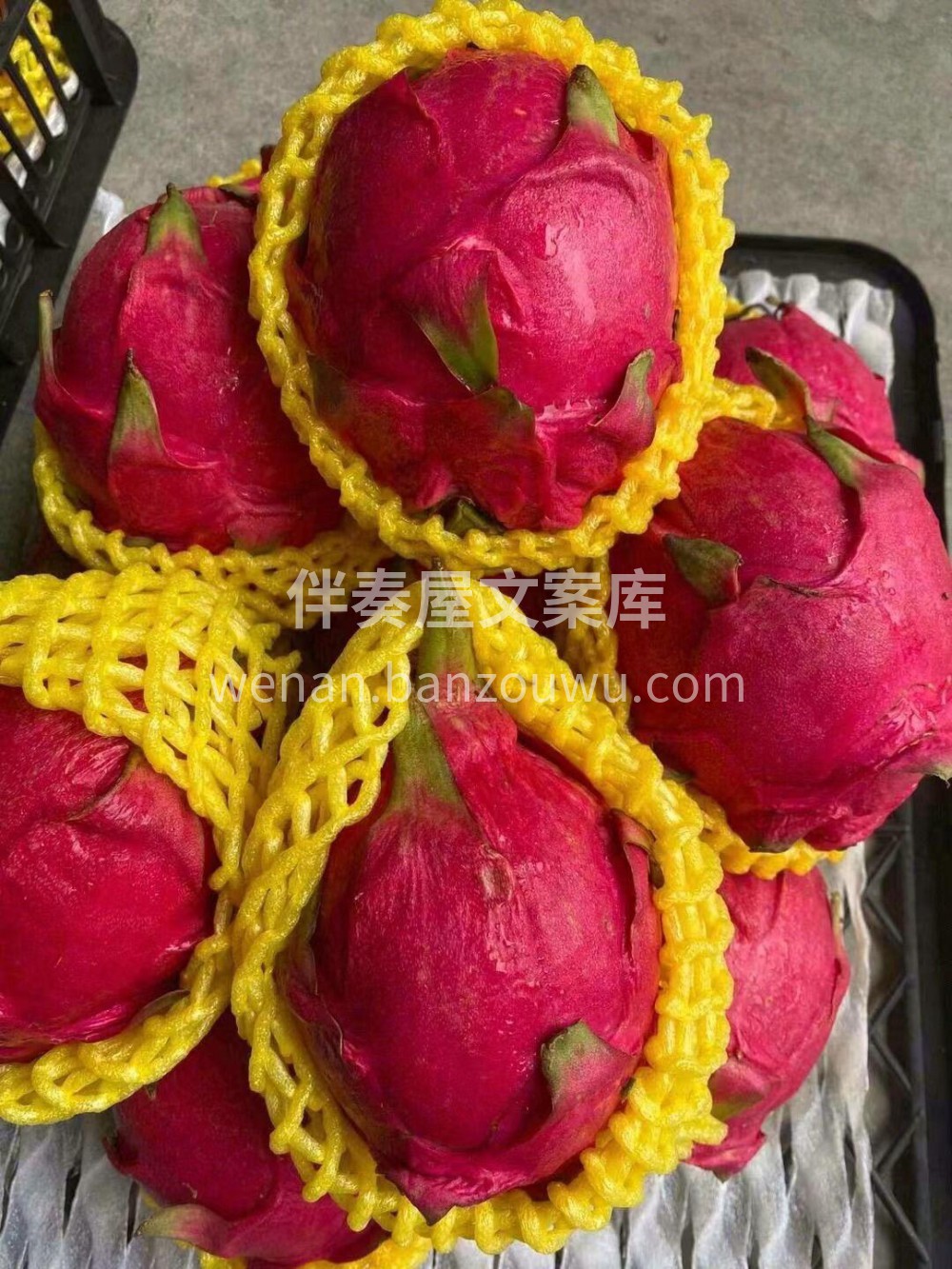 根本就不是火龙果它不是一般的火龙果🌸好吧 配图3