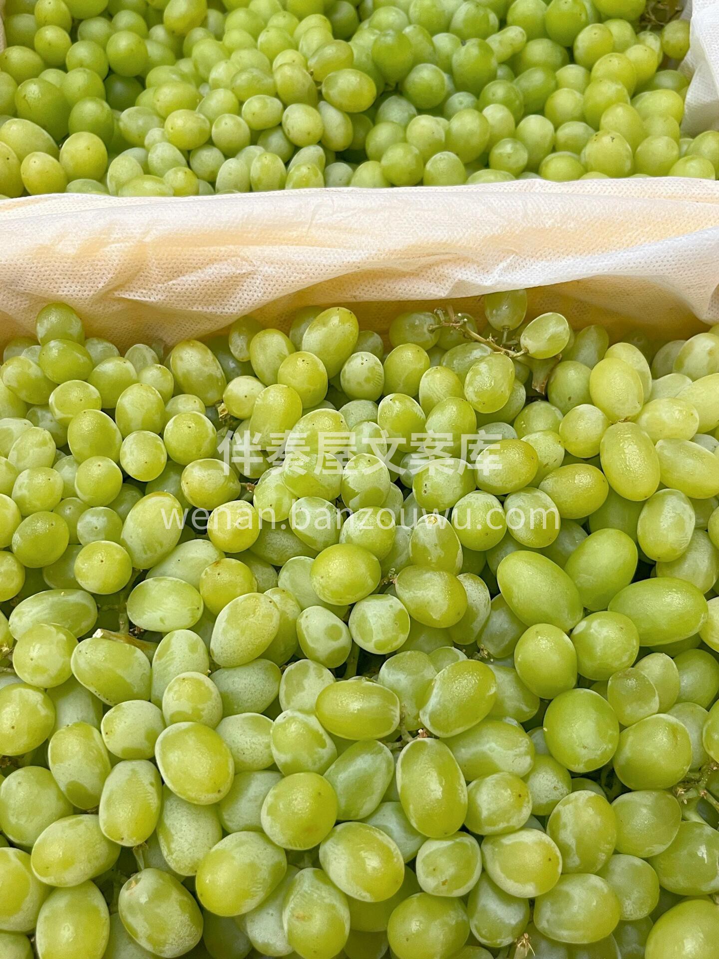 🔥爆品返场，新疆马奶提到货！🍇 全是好评 配图1