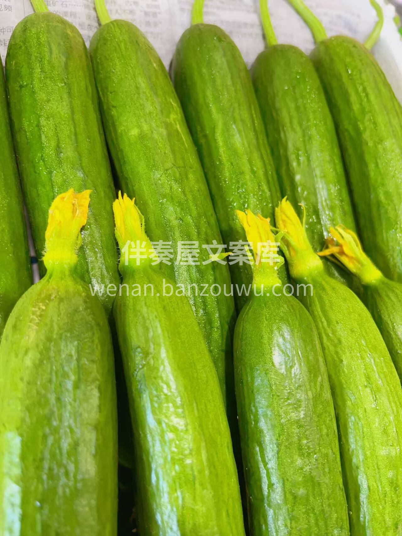 🥒水果小黄瓜🥒 酥脆爽口，口感完爆普通黄 配图2