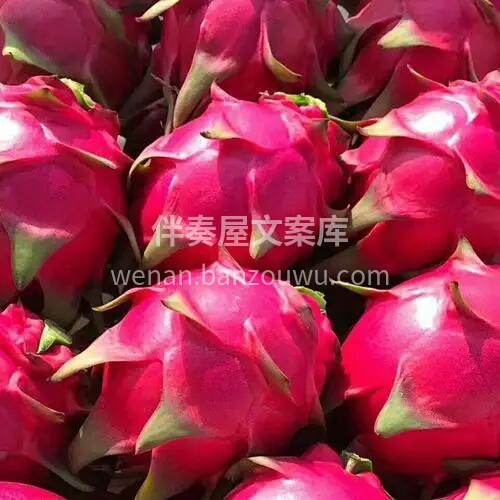 来个红心火龙果清清肠👌~ 一人一口红心火 配图3