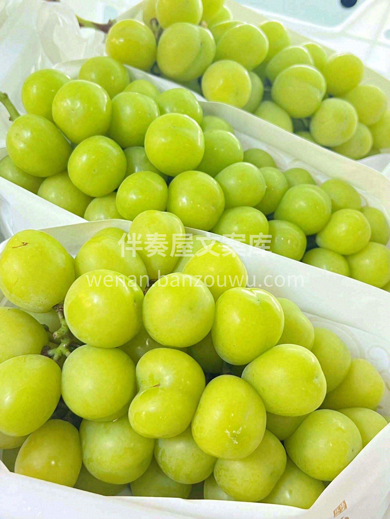无需多言💌，这批阳光玫瑰的味道💚，谁买谁 配图2