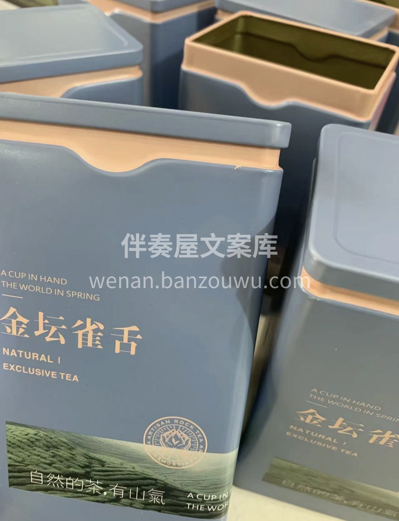 金坛雀舌独特的茶形和口感，让爱茶人爱不释 配图1