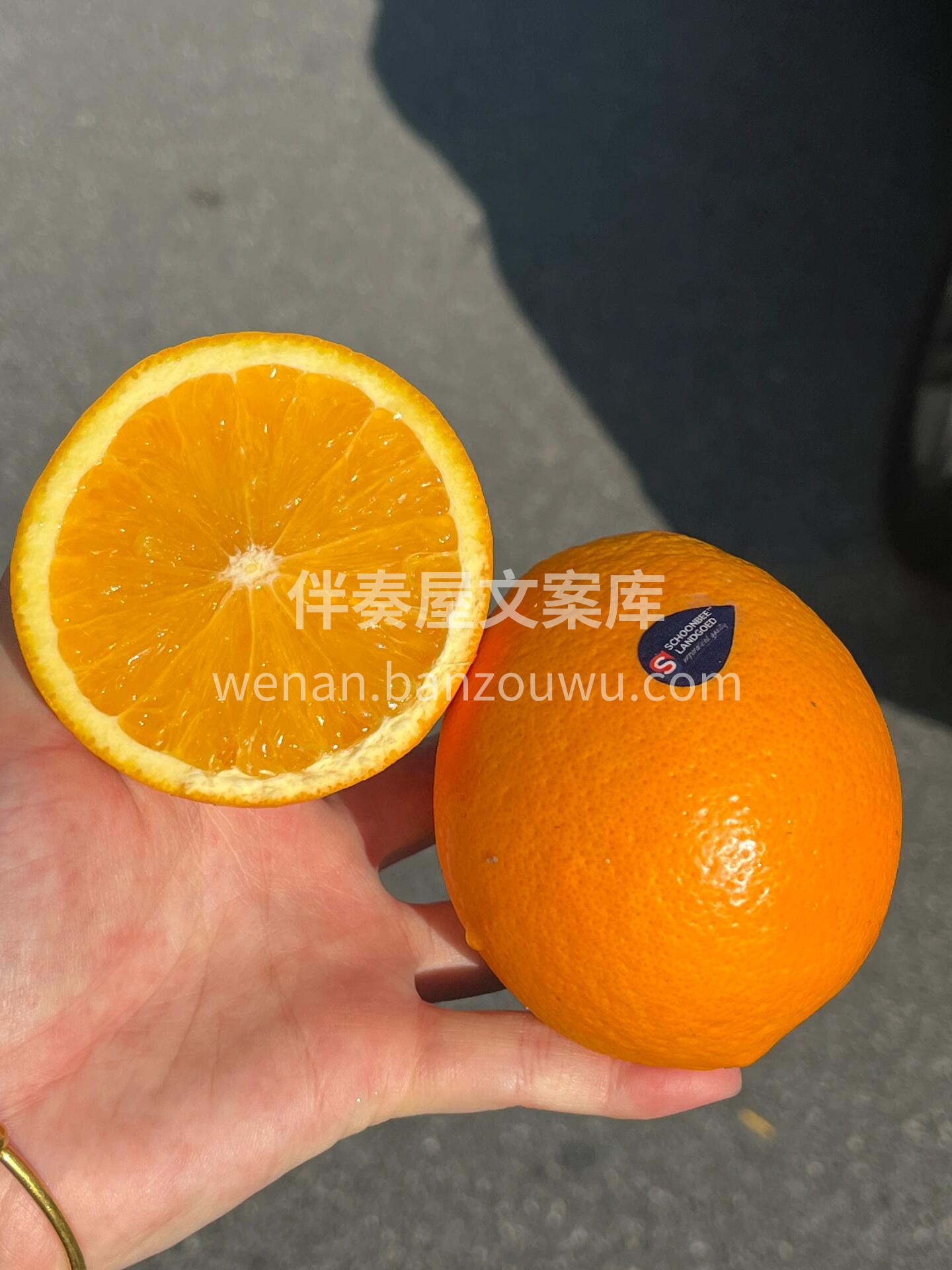 每日VC在这里👇 🌈来自“彩虹之国”的【 配图1