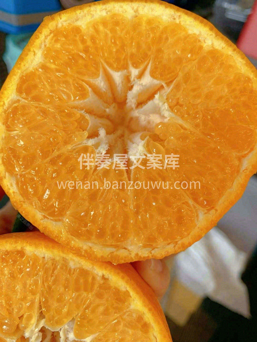 耙柑软囊囊的皮🐋 滑嫩嫩的肉🌊 清甜甜的 配图1