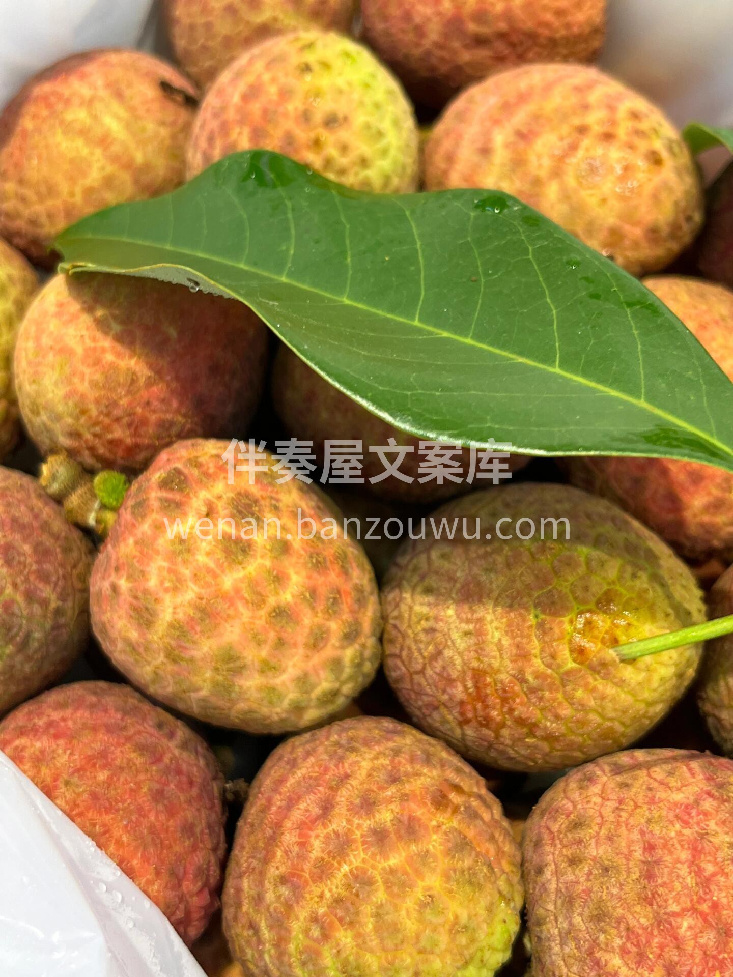 桂花香荔枝！忽而夏已至，荔枝正当红🔥 你 配图3