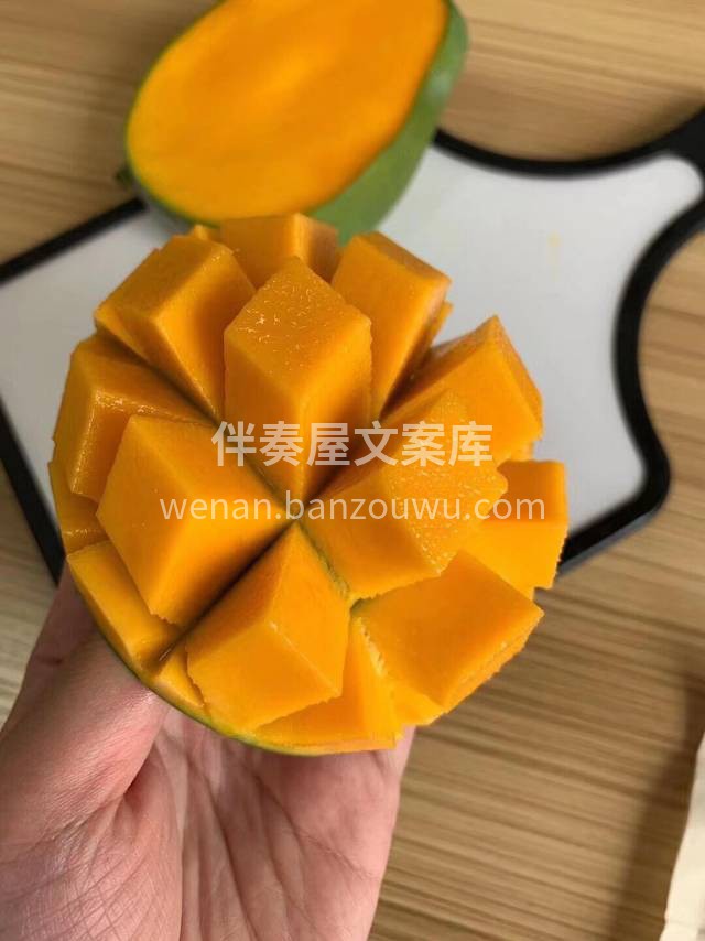 🌱攀枝花凯特芒🥭 个头巨大，一个就能切一 配图1