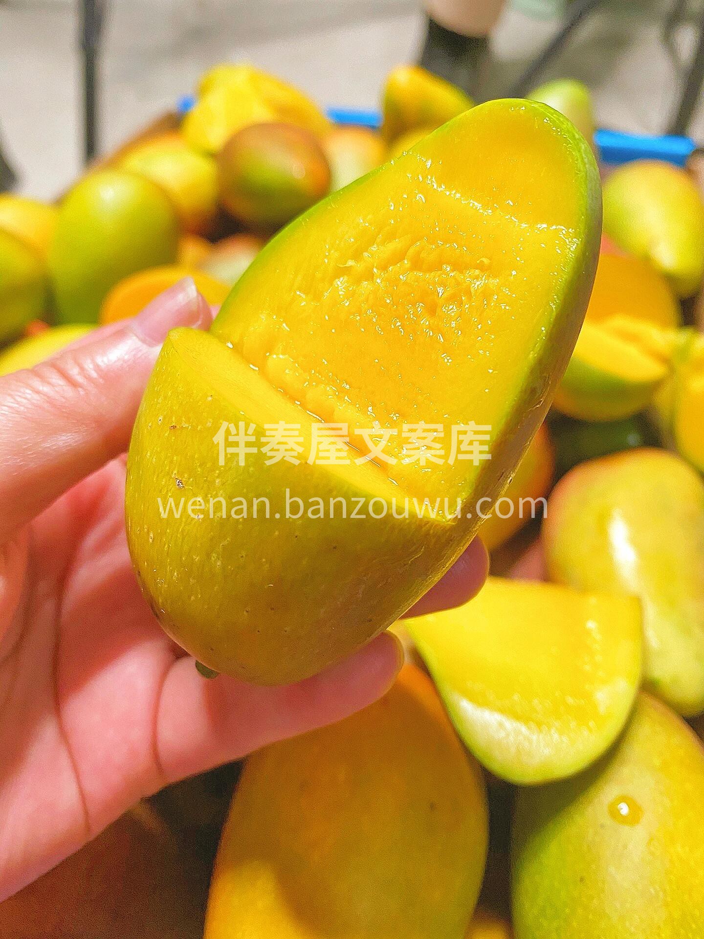 吃一口就会念念不忘的贵妃芒?不打药，不催 配图2