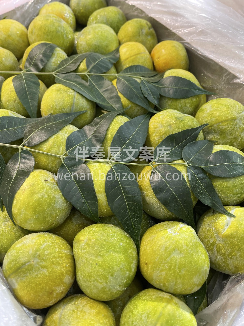 🍯 蜂糖李咬一口盛夏的“液态蜜糖”！宝宝 配图1