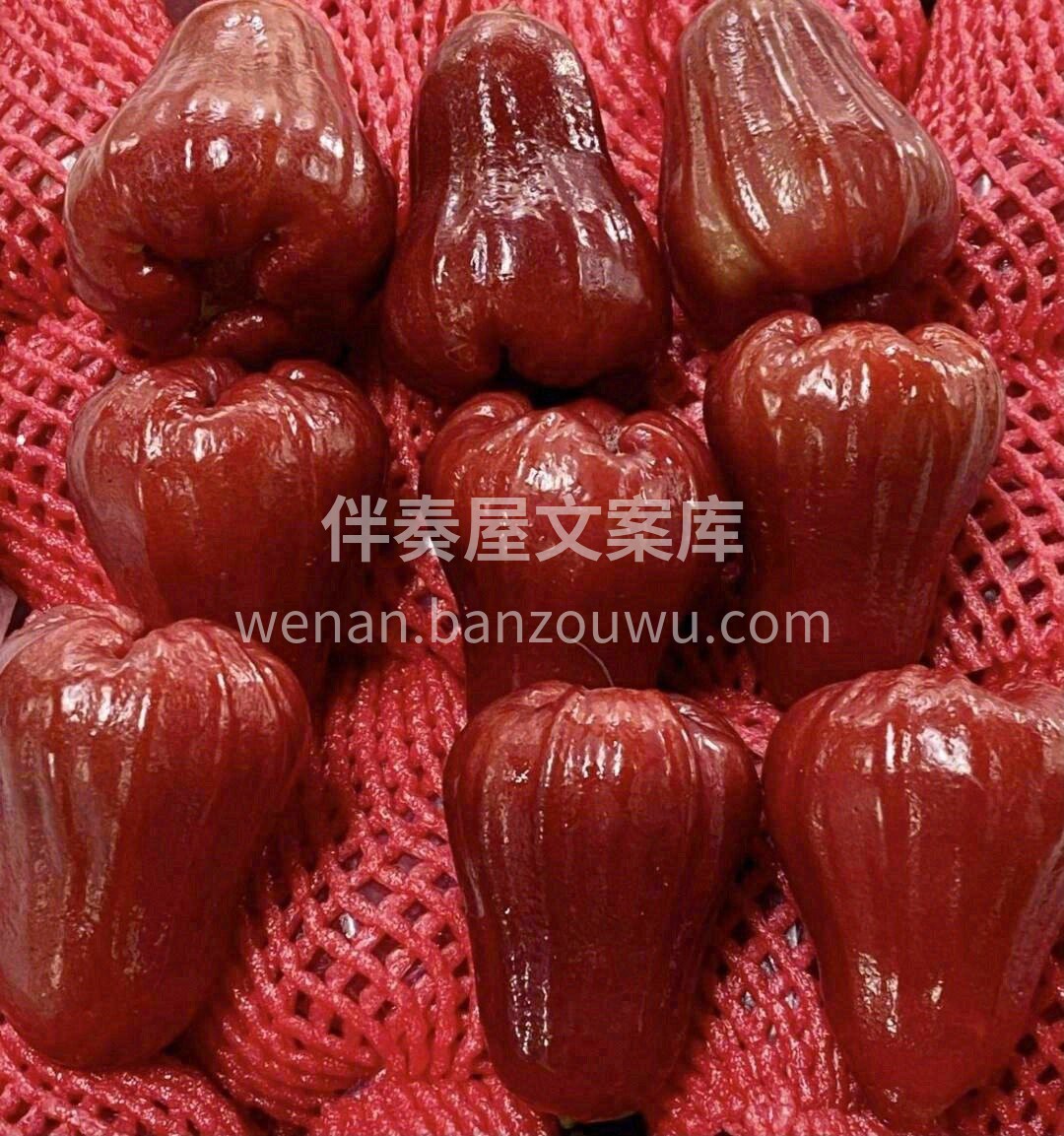 黑金刚莲雾♥️ 真正意义上的“水”果 脆 配图1