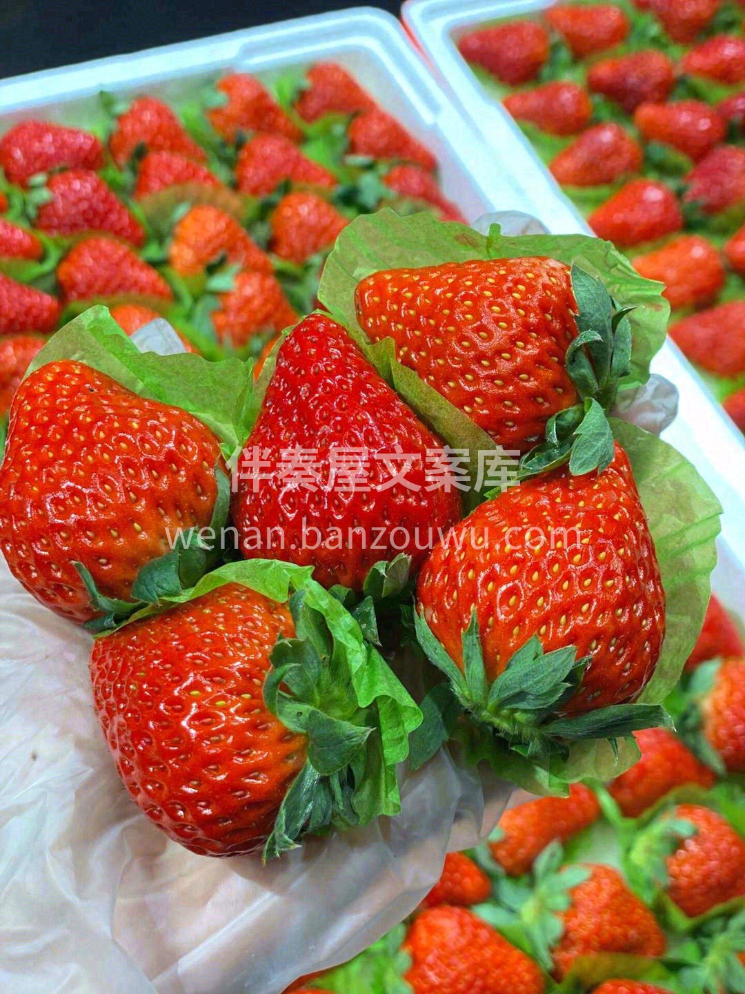 开心要吃点甜的，不开心也要吃点甜的🍭 世 配图1